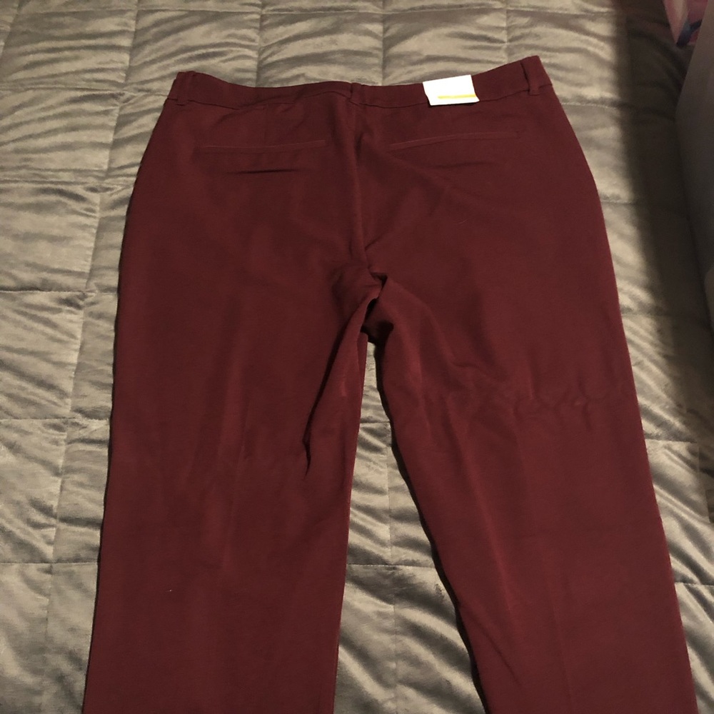 Women’s dress pants